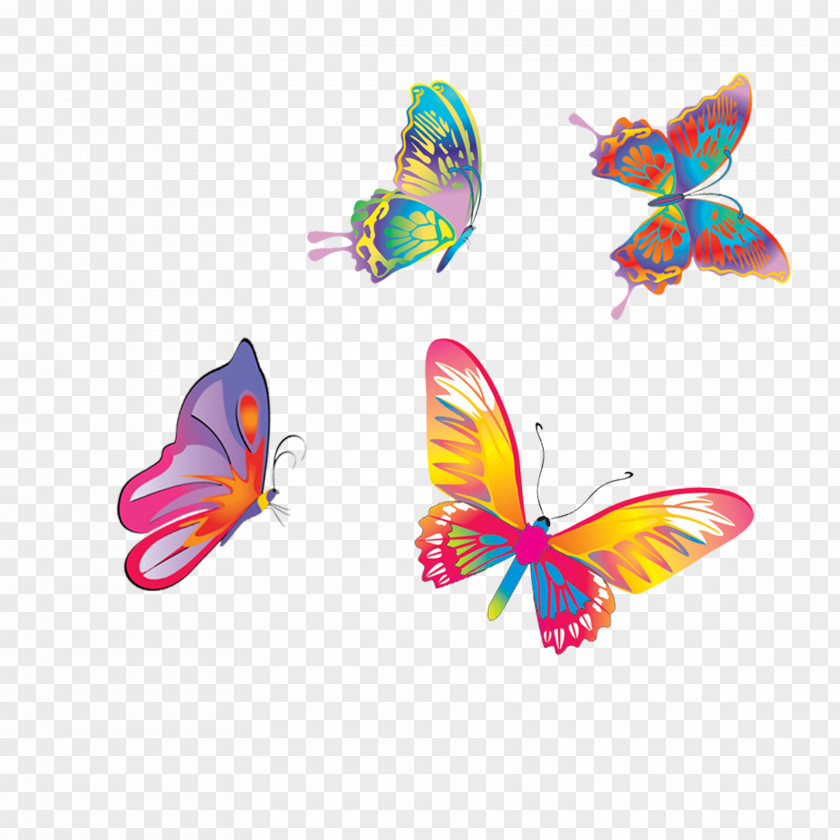 Colored Butterflies Fly Butterfly PNG