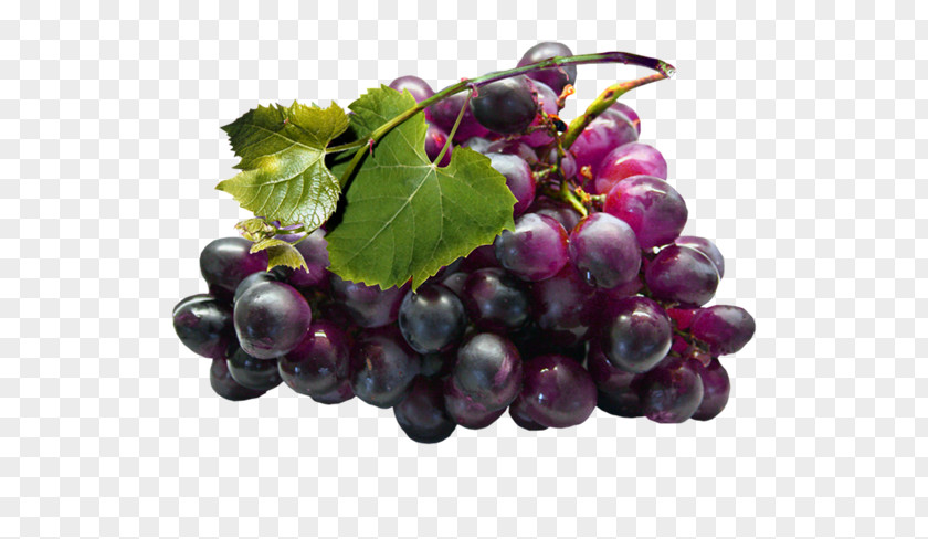 Grape Seed Extract Grapevines PNG