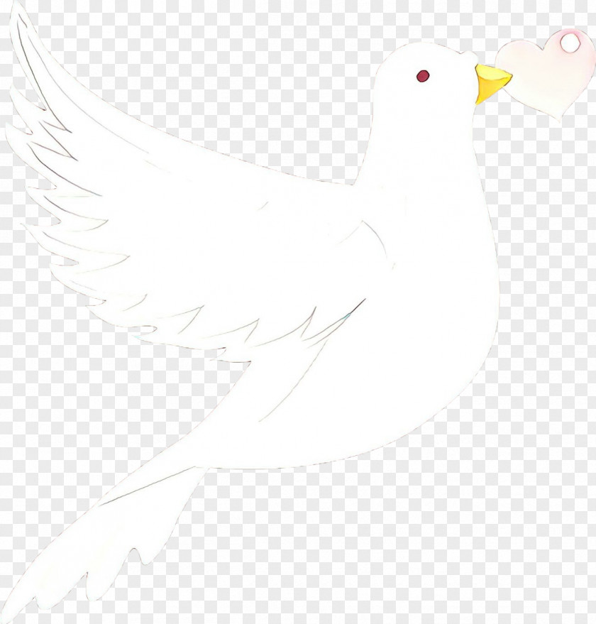 Stork Seabird Duck Cartoon PNG