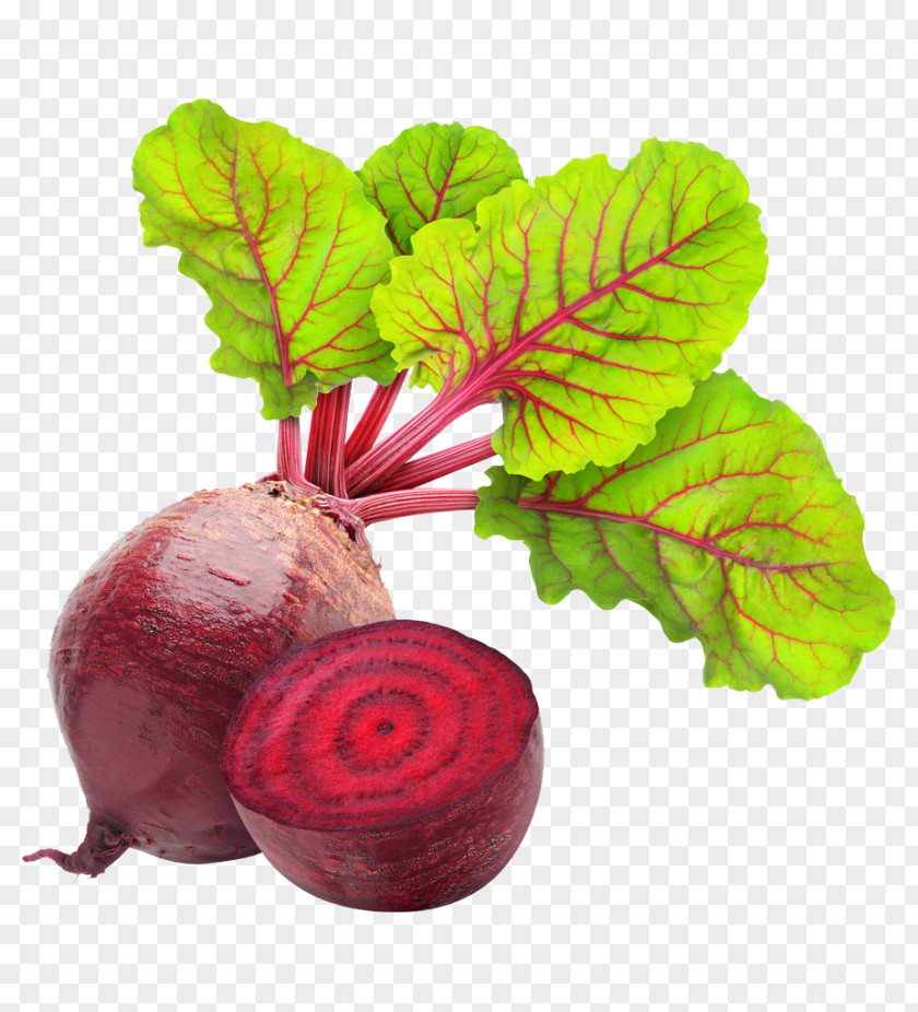 Vegetable Beetroot Borscht Carpaccio Food Leaf PNG
