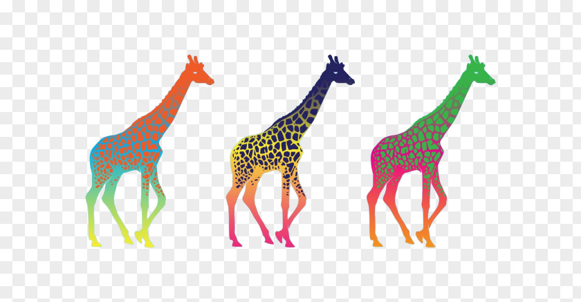 Giraffe Desktop Wallpaper Mobile Phones Computer Minimalism PNG