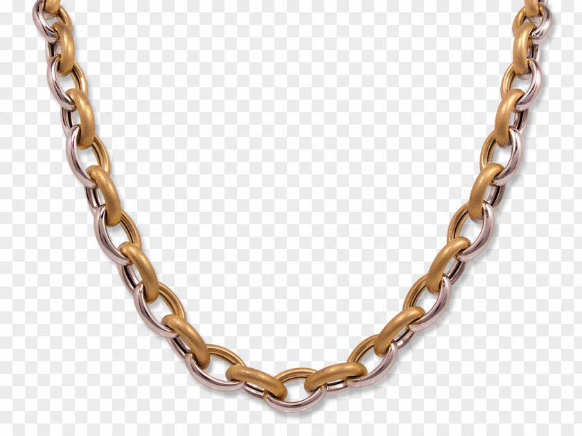 Necklace Chain Jewellery Pandora Silver PNG