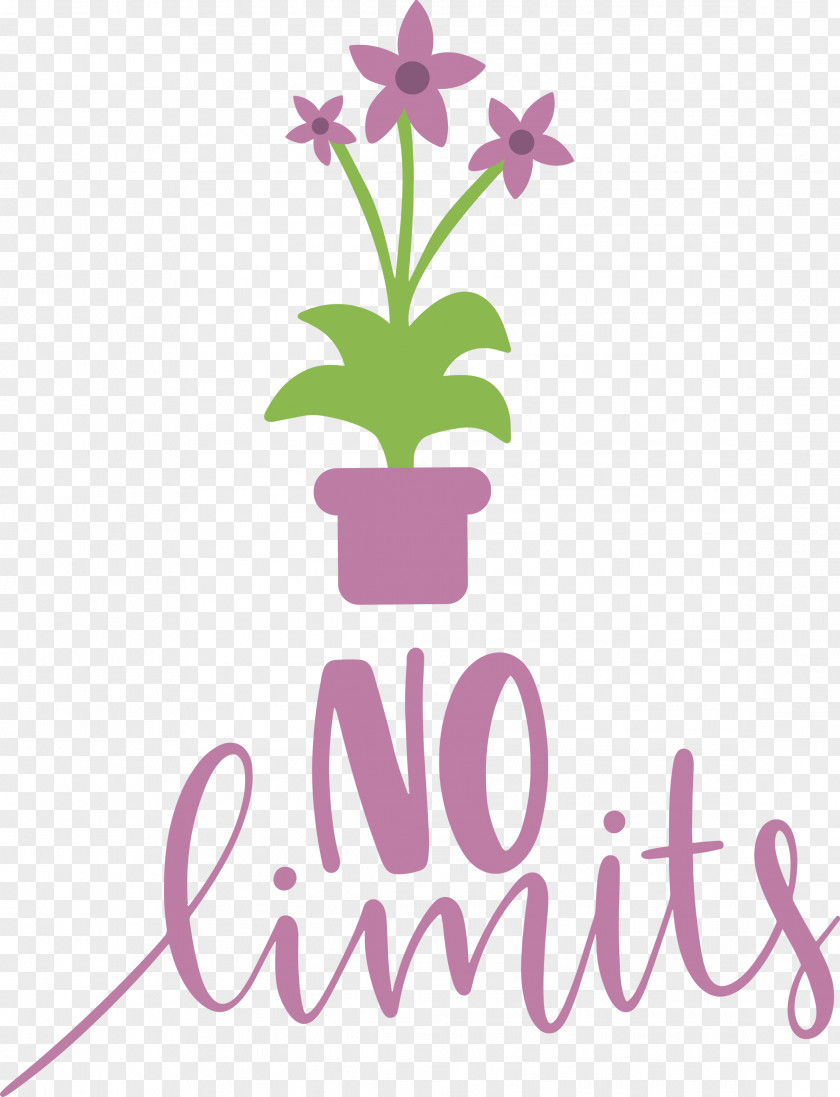 No Limits Dream Future PNG