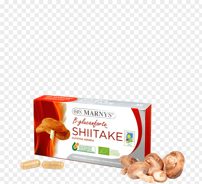 Shiitake Mushroom Organic Food Dietary Supplement Hen-of-the-wood PNG