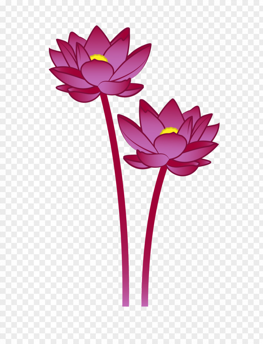 Vector Red Lotus Euclidean Flower Vecteur PNG