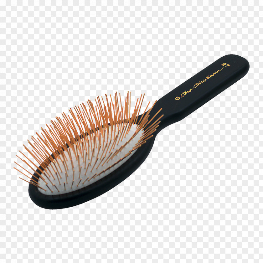 Dog Brush Grooming Gold Show PNG