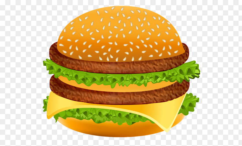 Hamburger McDonald's Big Mac Veggie Burger Fast Food French Fries PNG