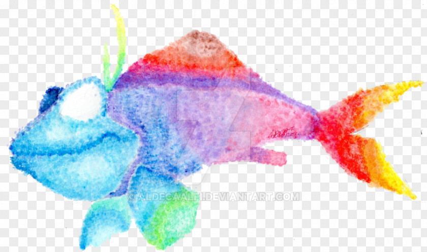 Marine Biology Pink M Fish PNG