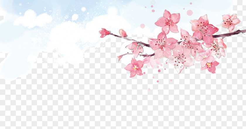 Peach Clouds Flower Pink PNG