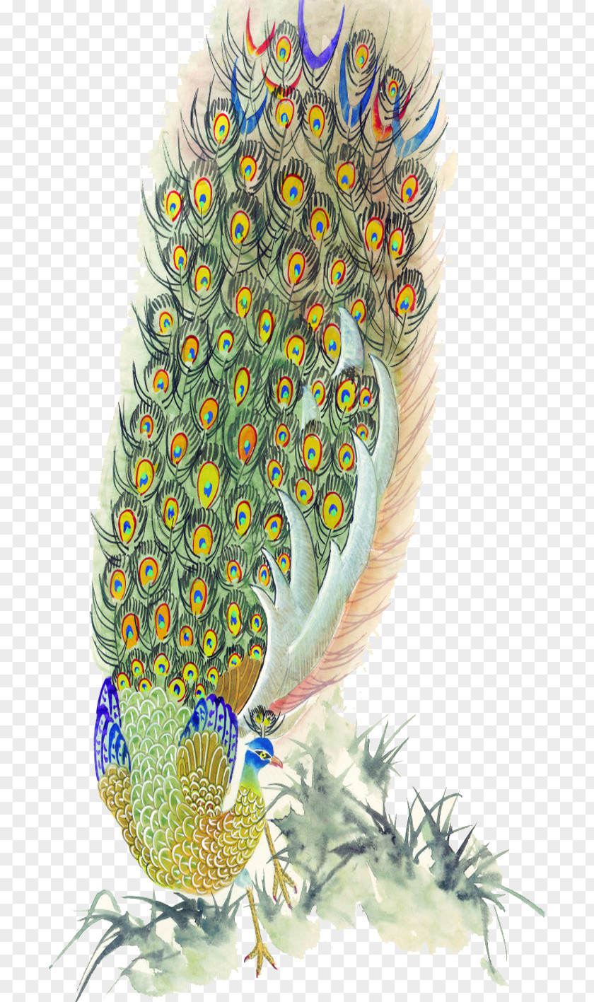 Peacock Feather Bird Peafowl Painting PNG