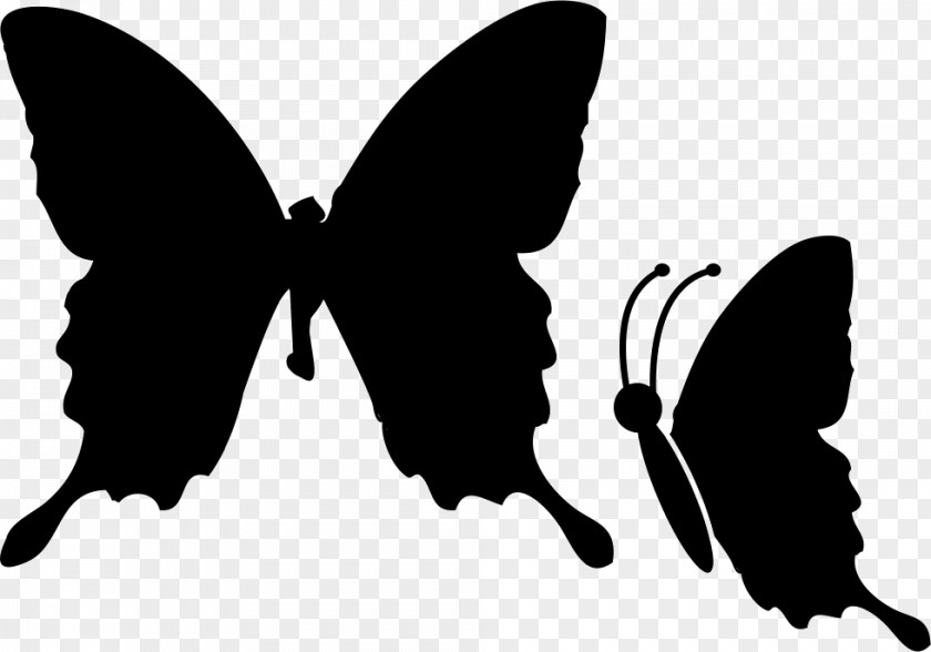 Butterfly Clip Art Illustration PNG