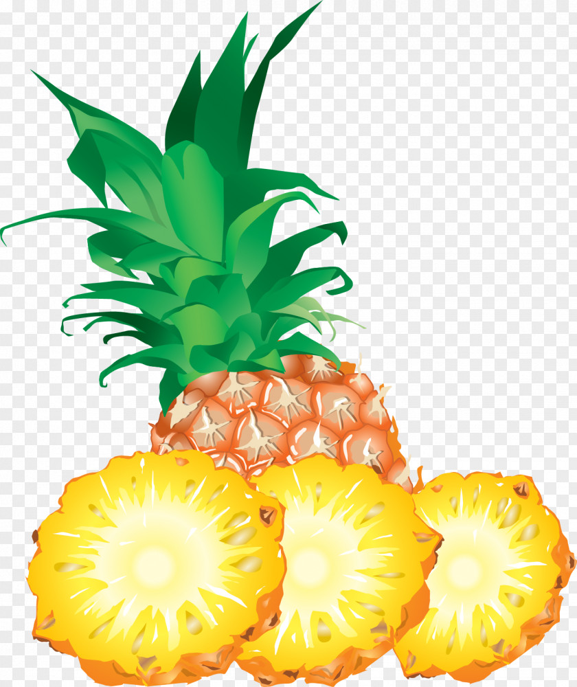 Hand-painted Pineapple Fruit Clip Art PNG