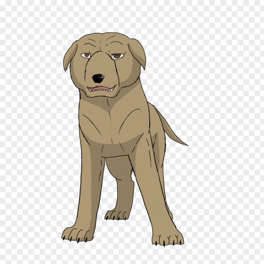 Puppy Labrador Retriever Dog Breed Sporting Group PNG