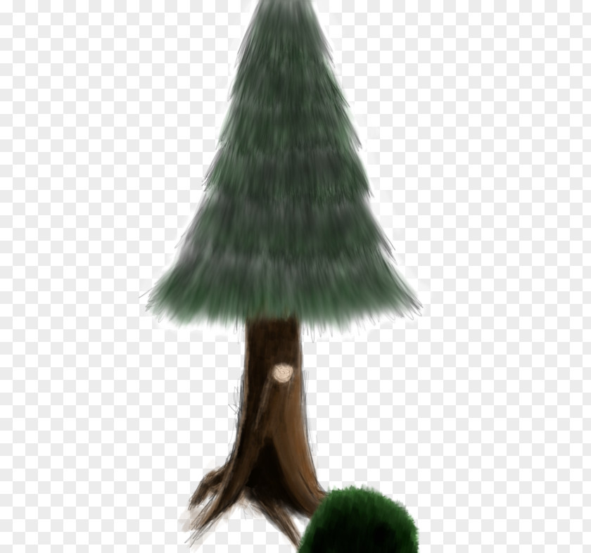 T-shirt Pine Christmas Tree PNG