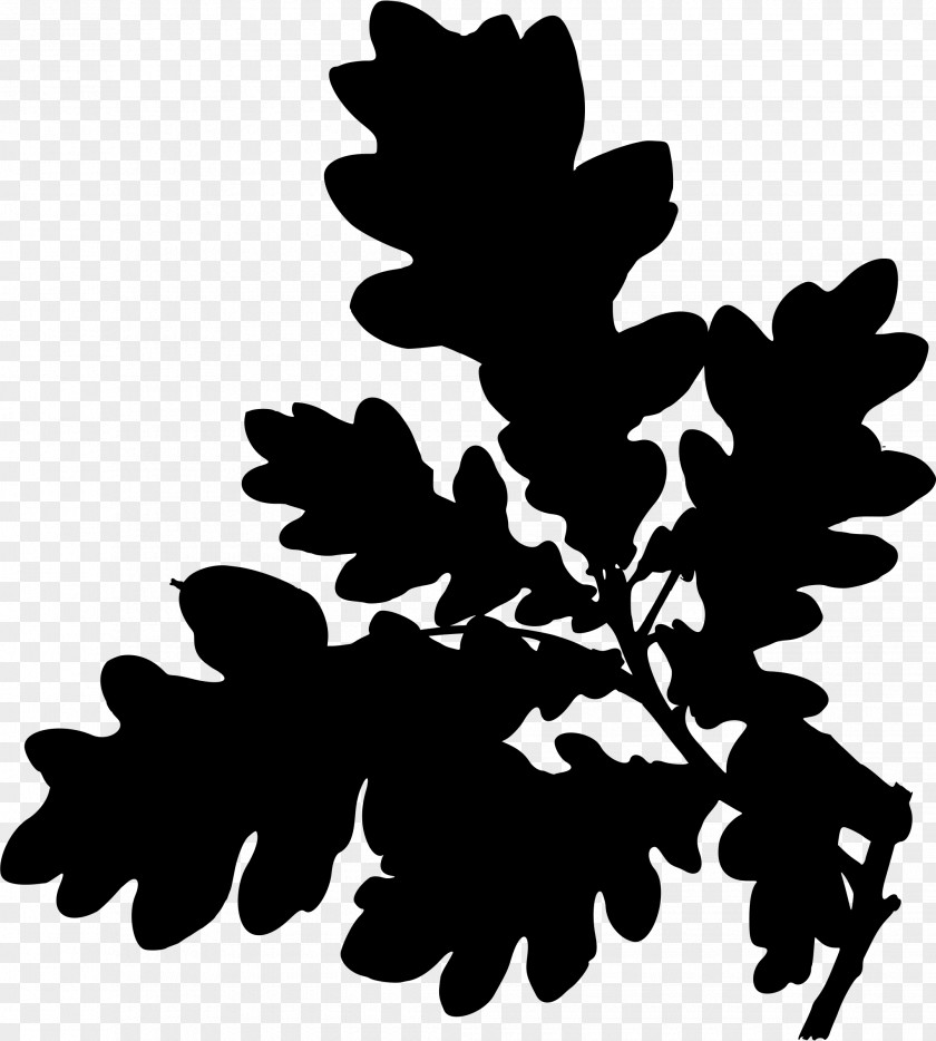 Tree English Oak Clip Art PNG