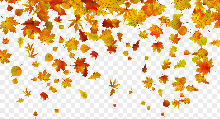 Withered Autumn Leaves Leaf Color Clip Art PNG