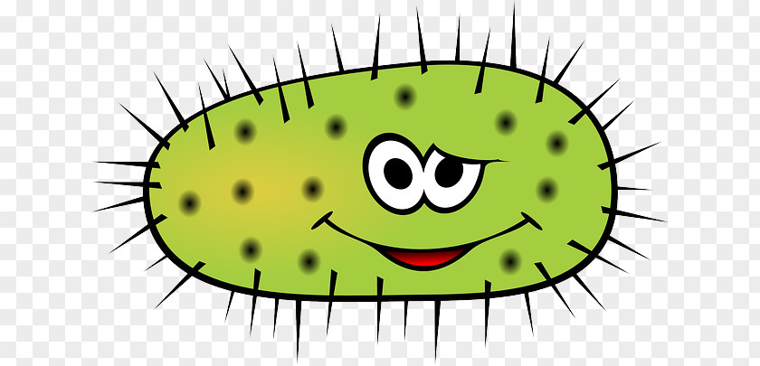 Bacteria Microorganism Clip Art PNG