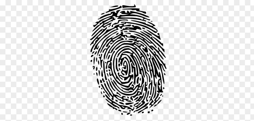 Fingerprint Drawing Clip Art PNG