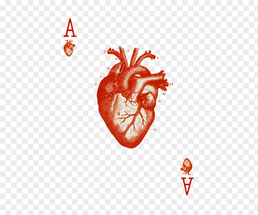Suit Ace Of Hearts Playing Card Cribbage PNG