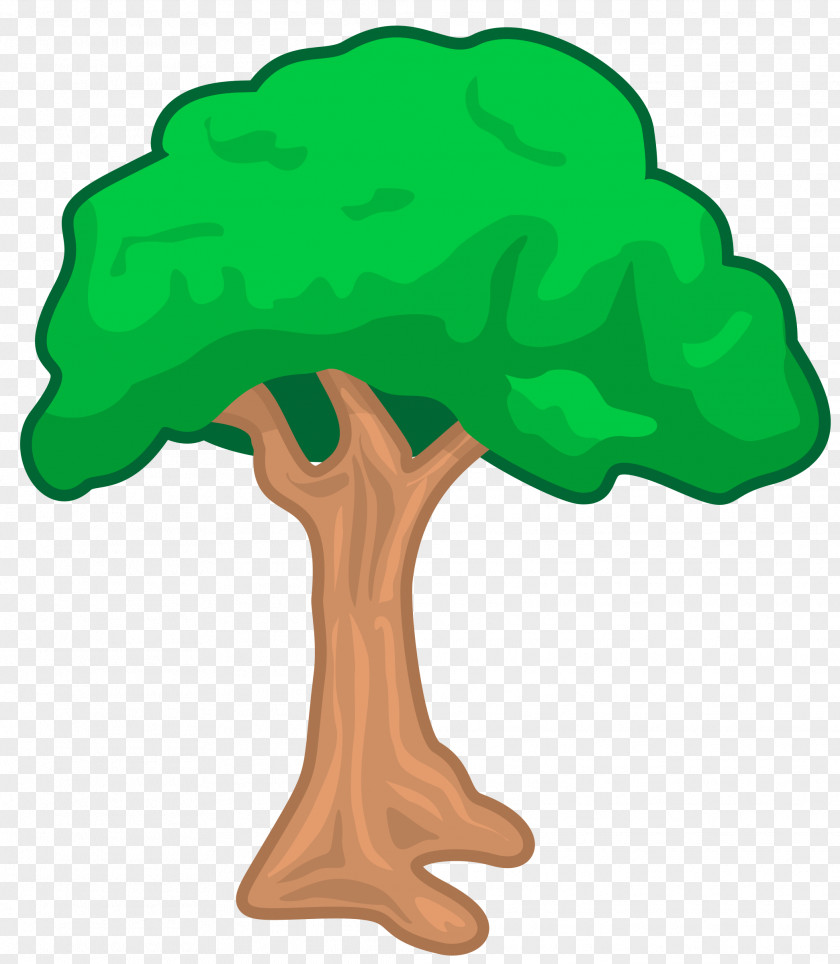 Tree Arecaceae Oak Clip Art PNG