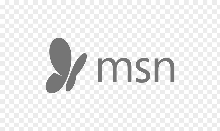 United States Logo MSN PNG