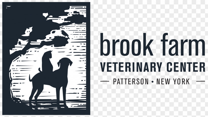 Affordable Animal Clinic Patterson Brook Farm Veterinary Center Mahopac Veterinarian PNG