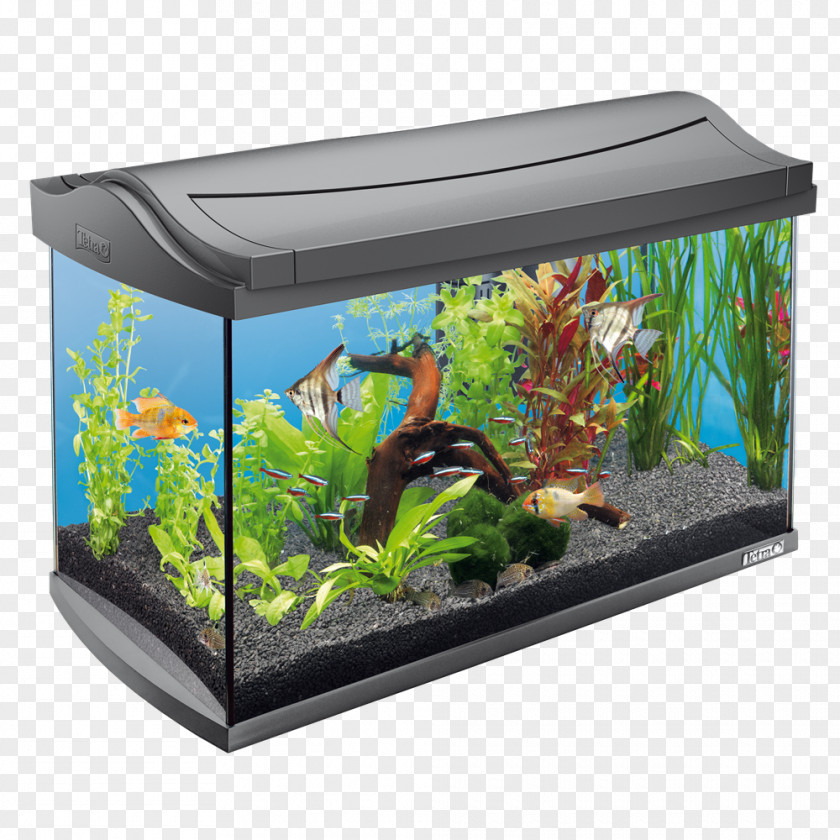 Aquarium Drawing Filters Tetra Tropical Liter PNG