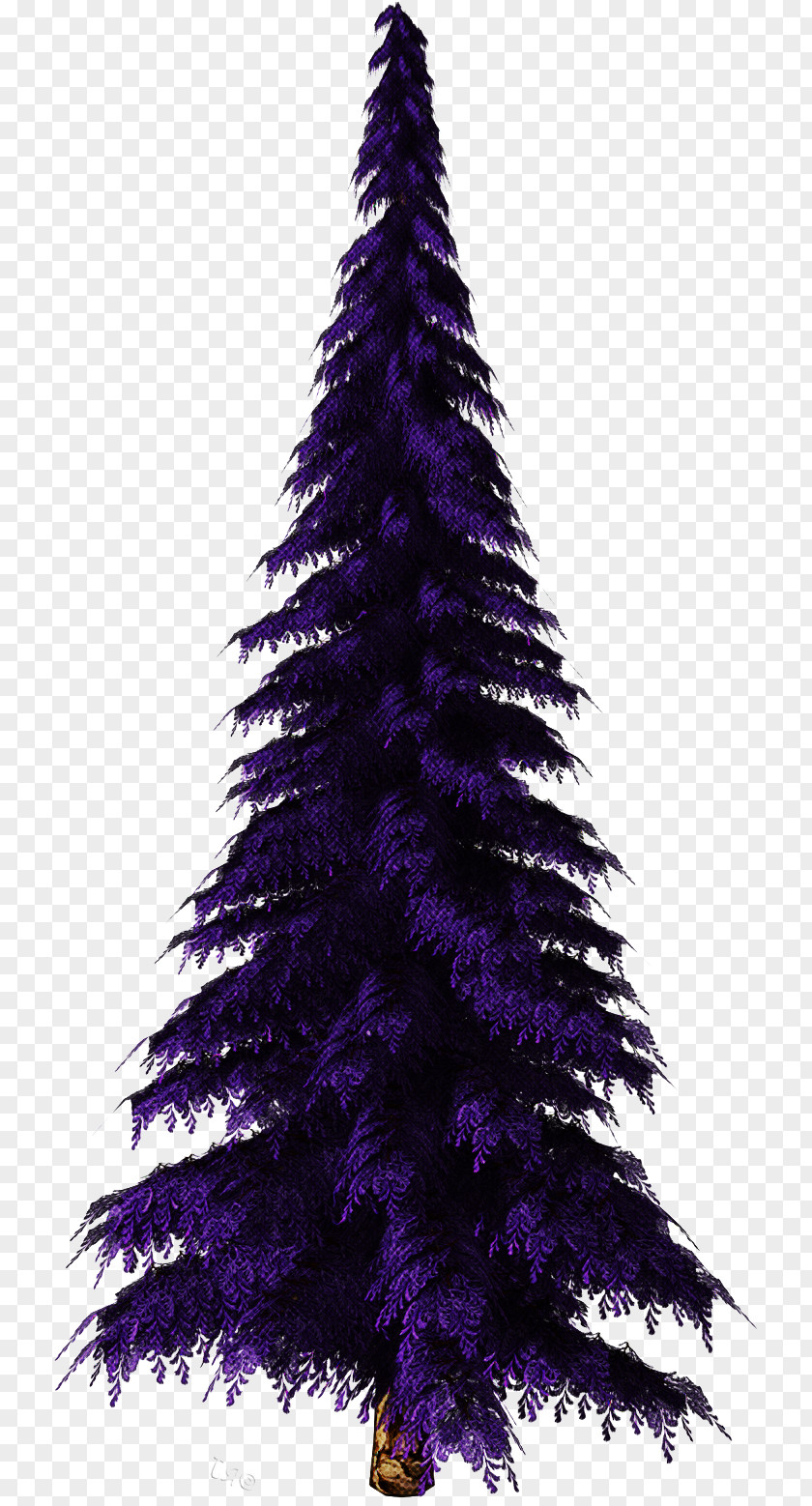 Christmas Tree PNG