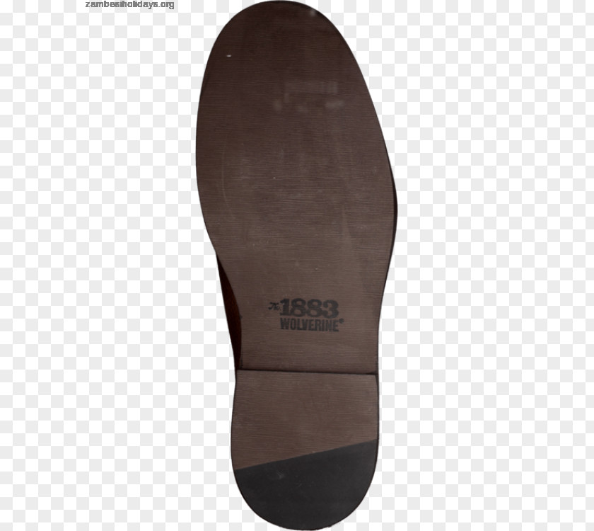 Ecco Shoes For Women Brown Slipper Product Design PNG