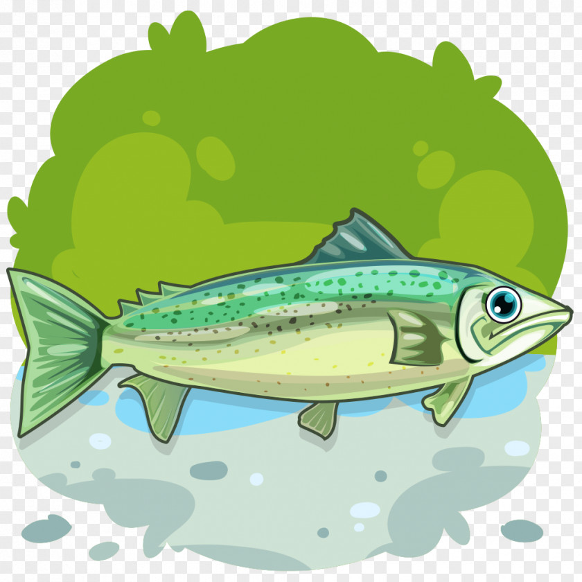 Rainbow Trout Bony Fish Smelt Sardine Fresh Water PNG