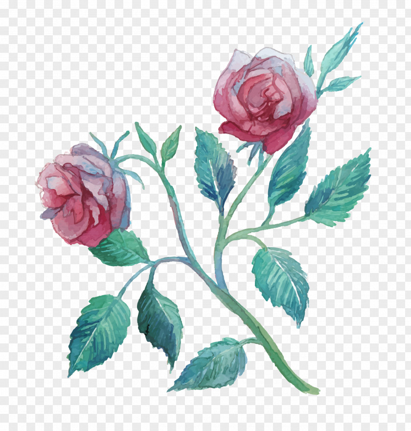 Rose Flower Watercolor Painting Clip Art PNG
