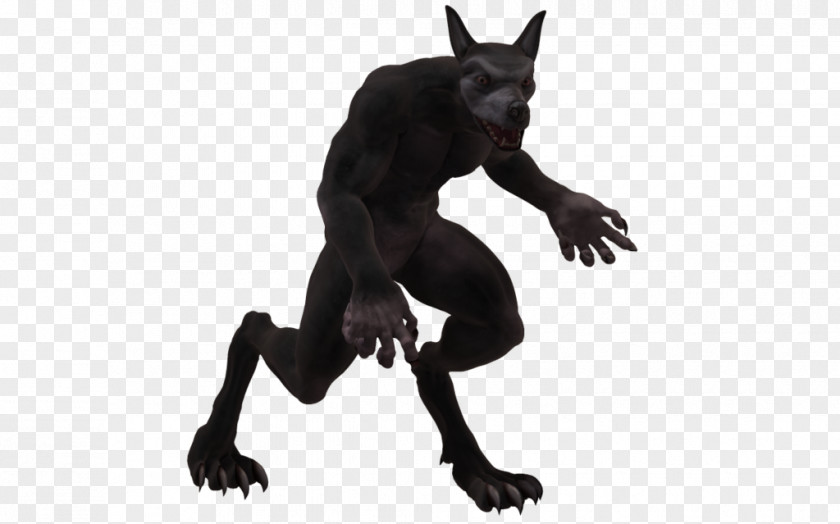 Werewolf Logo Canidae Dog Tail Mammal PNG