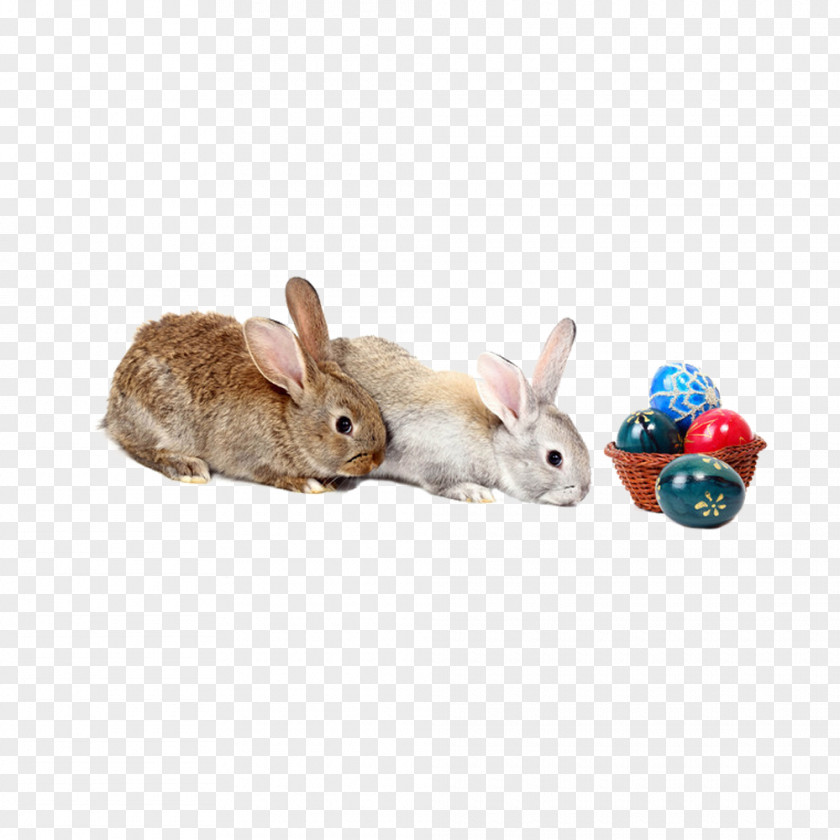 Rabbit Small Basket Grey Red PNG