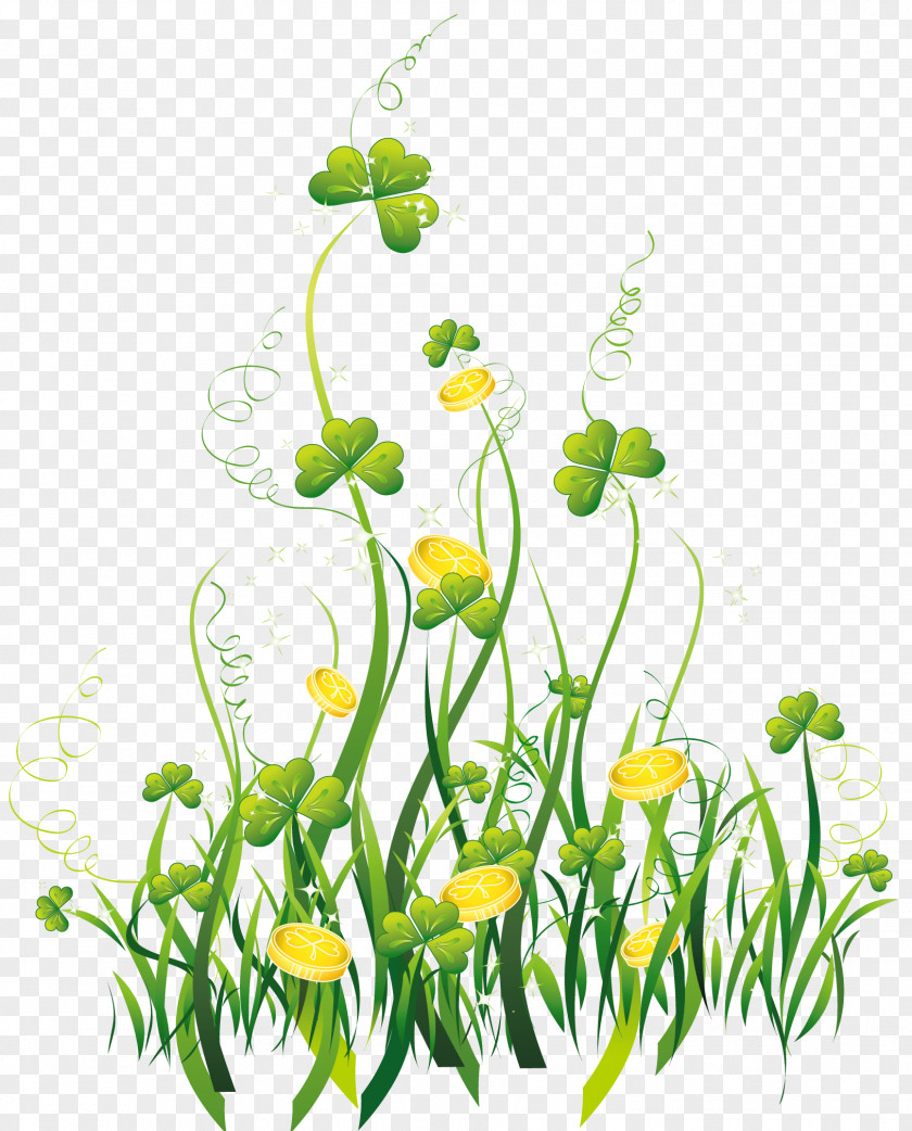 St Patrick Shamrocks With Gold Coins Decor PNG Clipart Picture Saint Patrick's Day Shamrock Clip Art PNG