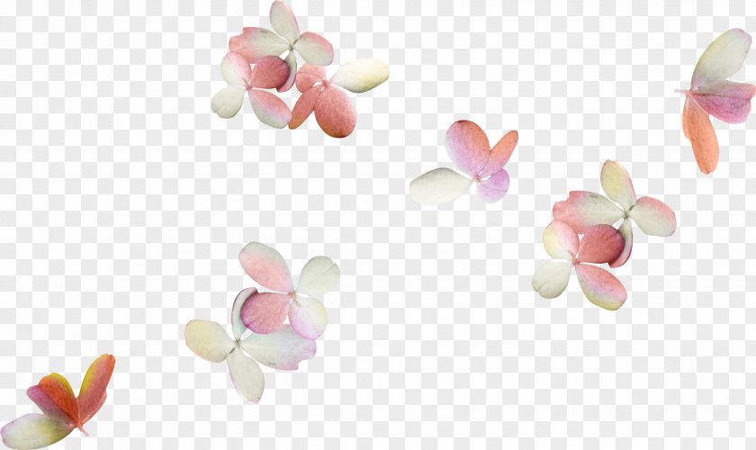 Bowknot Petal Flower Clip Art PNG