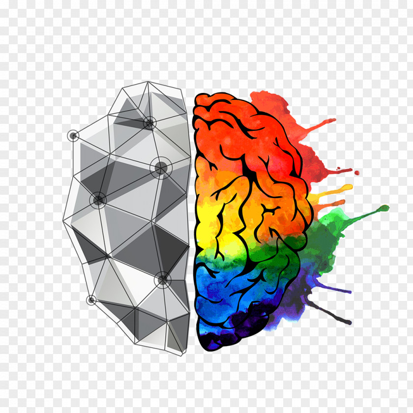 Brain Vector Graphics Stock Photography Royalty-free Clip Art PNG