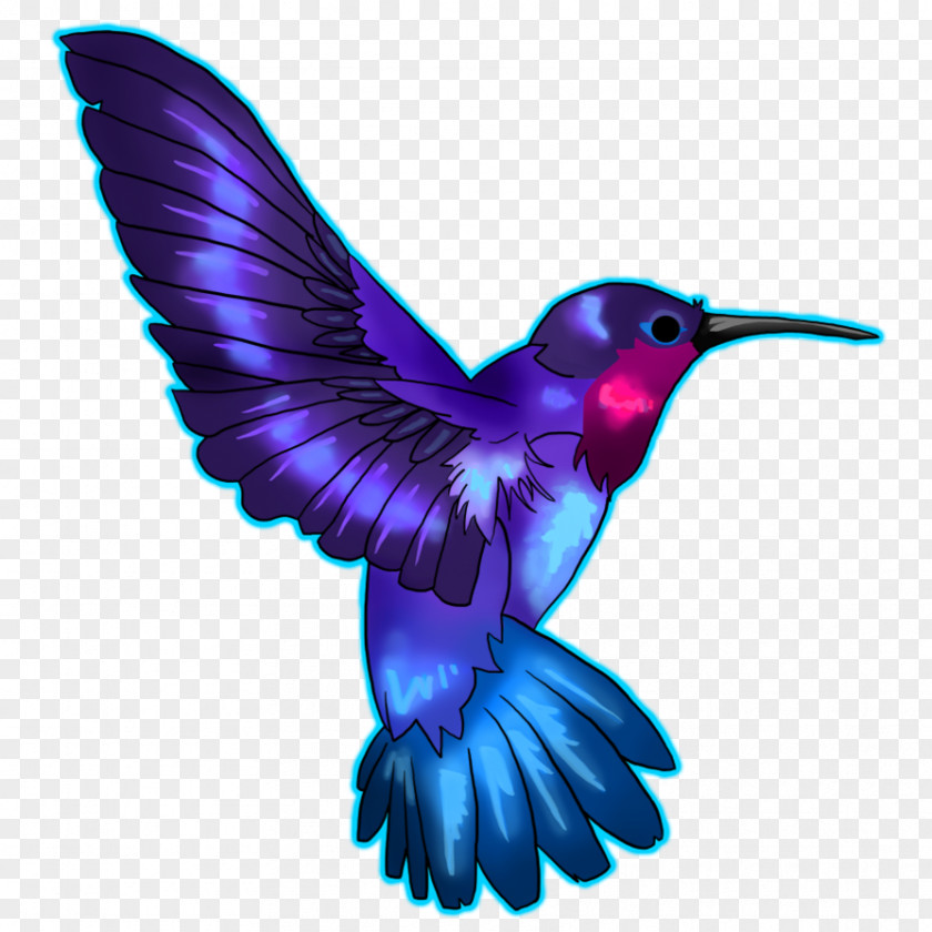 Crowned Clipart Hummingbird Drawing Blue Clip Art PNG