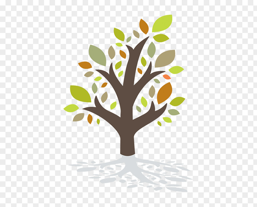 Lonoke County Council On Aging Twig Nassau The Decision Tree Of Old Age Clip Art PNG