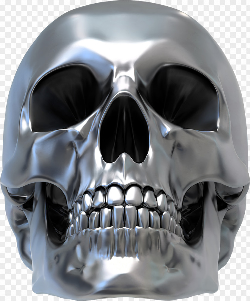 Silver Skull Vector Human Symbolism Sticker Decal PNG