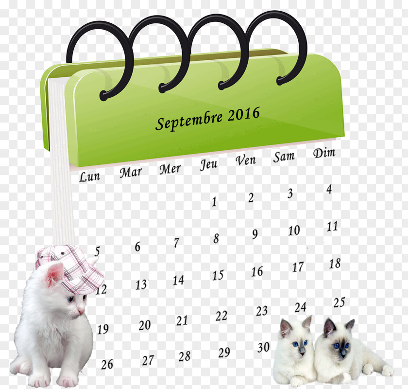 Mask Photofiltre Calendar Date Conférence-Atelier Time Diary PNG