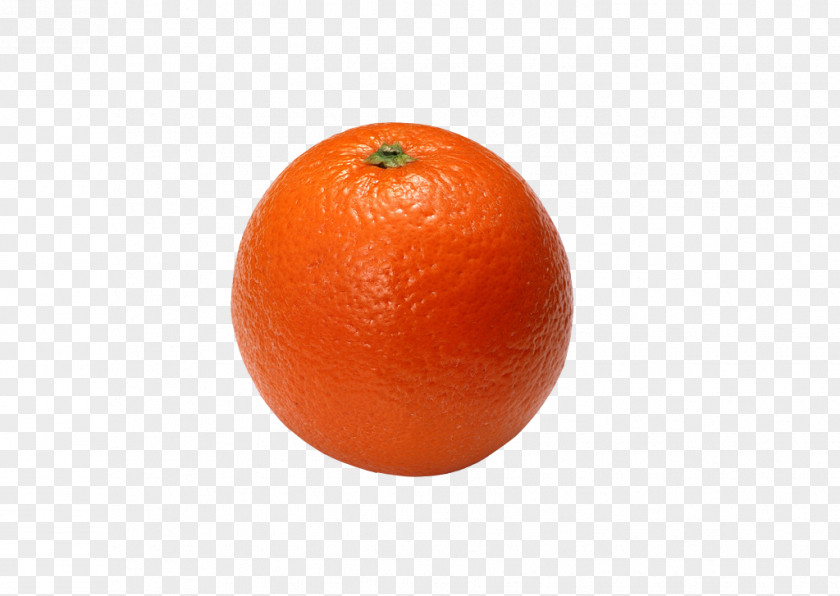 Orange Juice Clementine Blood PNG