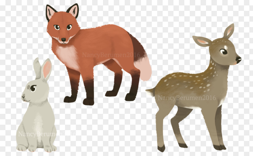 Woodland Musk Deer Hare Antelope Animal PNG