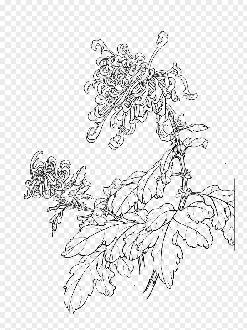 Chrysanthemum Tea Song Dynasty U767du63cfu753b Gongbi PNG