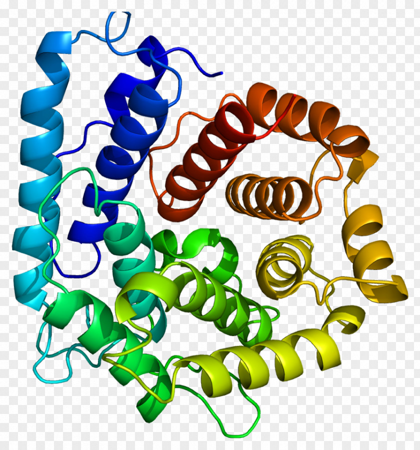 Complement Component 3 System Protein C3-convertase C3a PNG