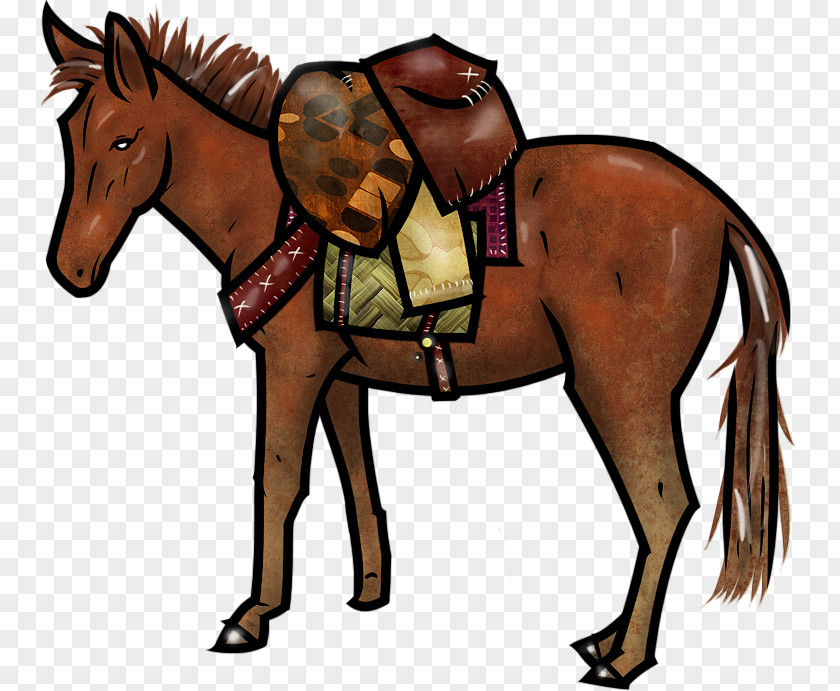 Horse Mule Stallion Rein Mare PNG