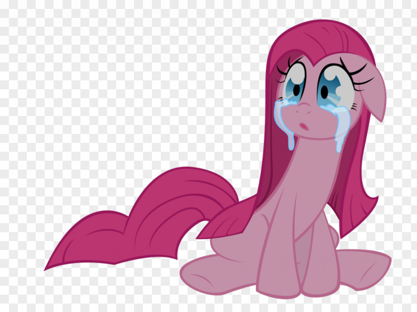 Pinkie Pie Pony Rarity Sadness Fluttershy PNG