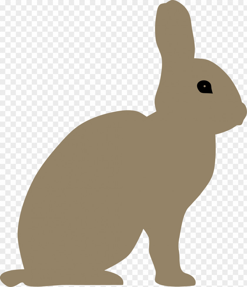 Snowshoe Hare Cliparts Easter Bunny Rabbit Clip Art PNG