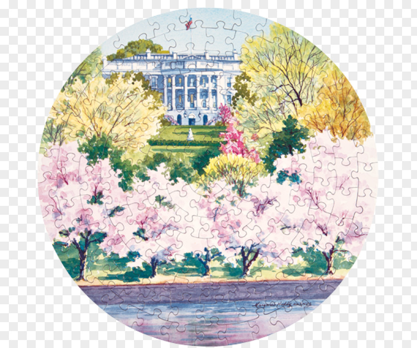 White House Historical Association National Cherry Blossom Festival Vermeil Room PNG