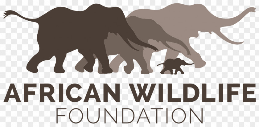 African Wildlife Foundation Kenya Organization Rhinoceros Conservation PNG