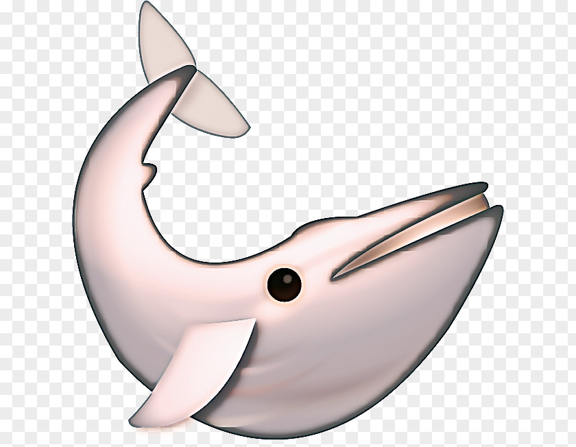 Animal Figure Common Dolphins Whale Cartoon PNG